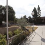 IMG_4006 TCC lamp post